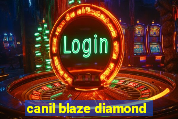 canil blaze diamond